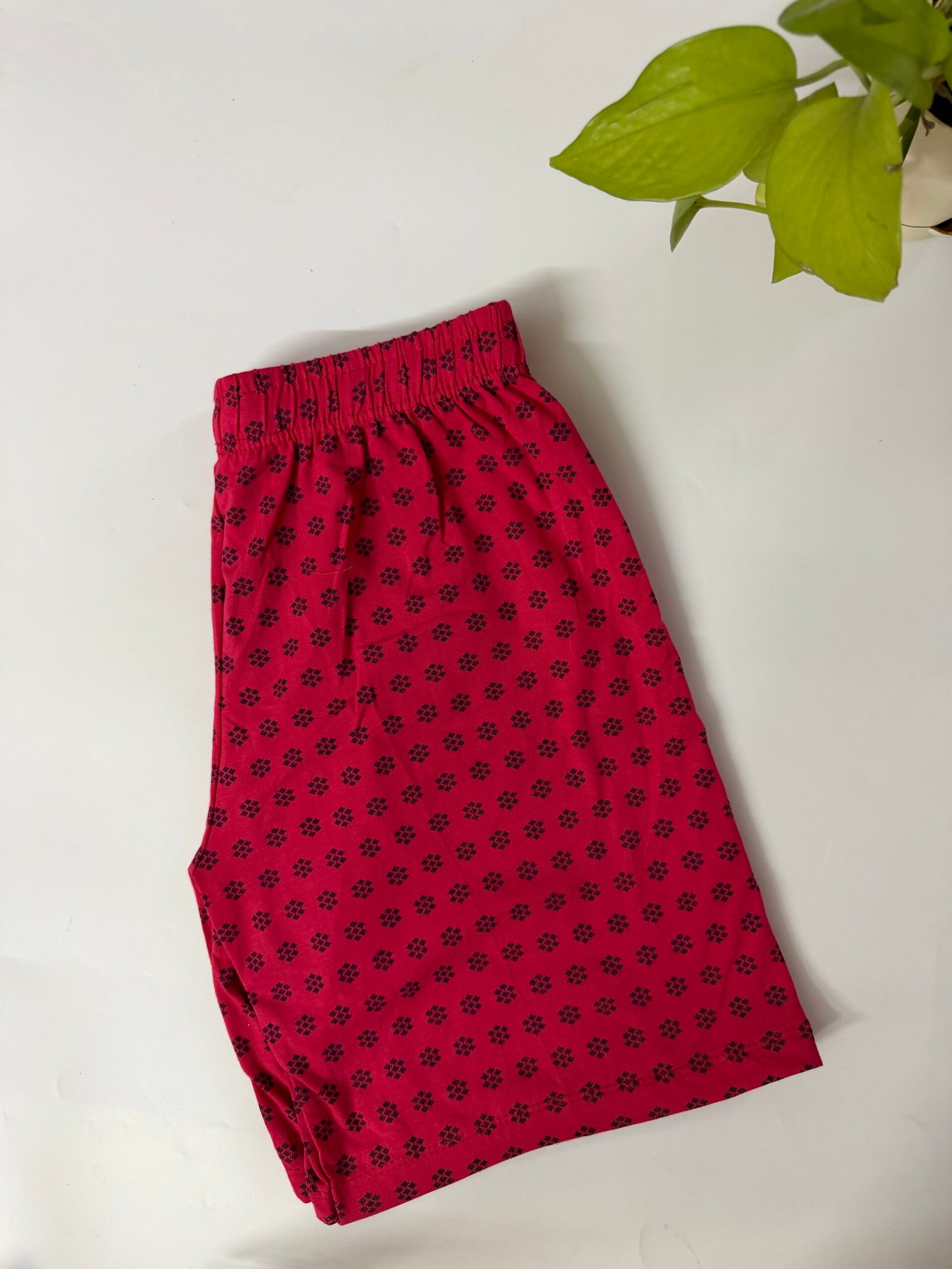 IMG_3521 SHORTS - S M L - Image 1