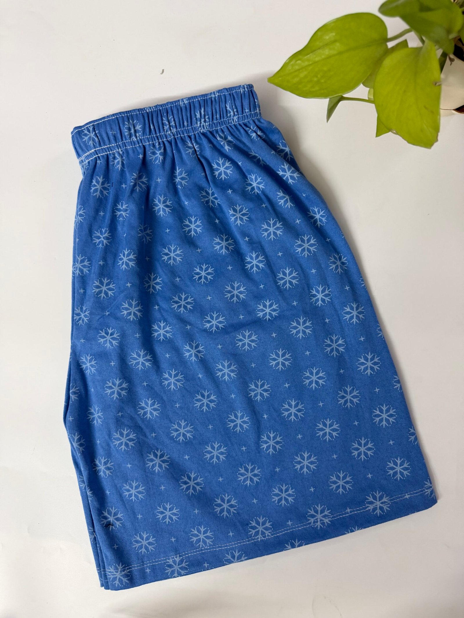 IMG_3583 SHORTS - 3XL - Image 1